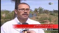حيوان الليمور المهدد بالانقراض في المغرب