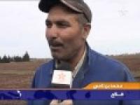تساقطات مطرية وبداية موسم فلاحي جيد