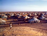 الوكالة الدولية للتنمية تبدي قلقها إزاء استمرار انتهاكات حقوق الإنسان داخل مخيمات تندوف