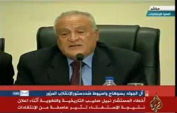 المستشار نبيل صليب يهتك عرض اللغة العربية أثناء إعلان نتيجة الإستفتاء