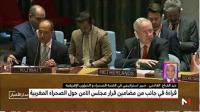 قراءة في جانب من مضامين قرار مجلس الأمن حول الصحراء المغربية