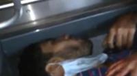 مجزرة الحرس الجمهوري : شهيد يحاول نطق الشهاده ويحتضر (+18)