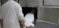 وفاة تلميذ داخل القسم بتاونات ومصادر تتحدث عن احتمال تعرضه للتعنيف
