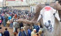 الكشف عن مدة عطلة عيد الأضحى بالمغرب 