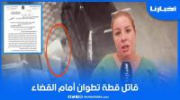 رئيسة جمعية لحقوق الحيوانات تُقاضي "قاتل قطة" بمدينة تطوان