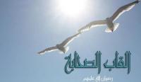 القاب الصحابة رضي الله عنهم