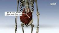 نصائح للتخلص من العصبية والتوتر في رمضان