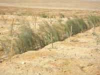 من الأرشيف