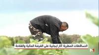 التساقطات المطرية، آثار إيجابية على الفرشة المائية والفلاحة