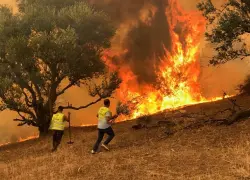 زعيم "الماك" يتهم السلطات الجزائرية بالوقوف خلف حرائق منطقة القبائل