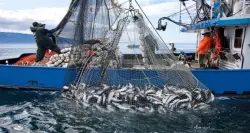 جدران الموت العائمة تهدد القوت اليومي لمئات الأسر المغربية