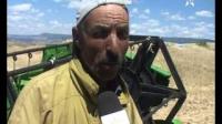 تراجع في المحصول الزراعي هذه السنة