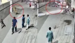 فيديو صادم.. أسد يهاجم أم وطفليها في الشارع وسط ضحكات أصحابه