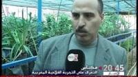 مكناس : التعرف على التجربة الفلاحية المغربية