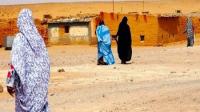 المغرب يصعد من لهجته في قضية النزاع المفتعل حول الصحراء فهل ستجبر الجزائر هذه المرة على التفاوض مباشرة مع المملكة؟