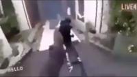 قتلى وجرحى بإطلاق نار داخل مسجد في نيوزيلاندا