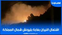 حريق جديد شمال المملكة وهذه المرة بغابة بليونيش القريبة من سبتة