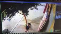 طنجة: لحظة إقدام شخصين على سرقة « زربية » من أحد المحلات المتخصصة في بيع الأثاث