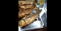 سمكة مقلية تحير زبناء مطعم
