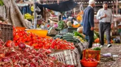 تجار الفواكه والخضر بسوق ميدلت يكشفون لـ"أخبارنا" حقيقة تراجع الأسعار في رمضان