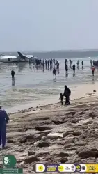 كأنه من فيلم هوليوودي… ركاب طائرة صومالية ينجون جميعًا من تحطم مروّع | فيديو