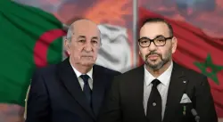 جزائريون يشيدون بقرار ملك المغرب ويطالبون نظام الكابرانات بإلغاء شعيرة عيد الأضحى