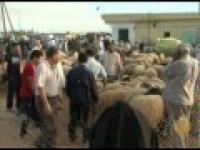 الليبيون يستعدون لأول عيد أضحى بعد الثورة 