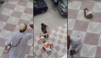 فيديو يوثق لحظات قليلة قبل لذغ مروض الأفاعي بتطوان