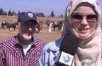 800 حصان في مهرجان للفروسية