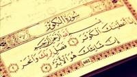 تفسير «سورة الكوثر»