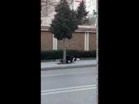 شائعات "الكورونا" تتناسل على مواقع التواصل وآخرها فيديو متداول من أحد شوارع طنجة..التفاصيل