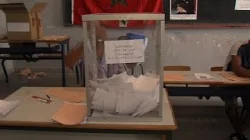 انطلاق عملية انتخاب أعضاء الغرف المهنية