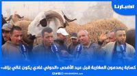 كسابة يصدمون المغاربة قبل عيد الأضحى "الحولي غادي يكون غالي بزاف ولمليح يقدر يوصل مليون"