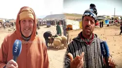 الشناقة في سوق المواشي بميدلت جاتهم السخفة بعد قرار إلغاء شعيرة عيد الأضحى