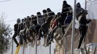 محكمة الاستئناف بالناظور تشدد أحكام 13 مهاجرا اعتقلوا في فاجعة مليلية