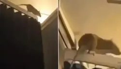 صورة تعبيرية من الارشيف