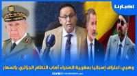 وهبي: اعتراف إسبانيا بمغربية الصحراء أصاب النظام الجزائري بالسعار والمغرب أصبح عقدة الكابرانات