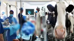 عمليات ناجحة تنقذ مرضى من مضاعفات "سل الحليب" بقلعة مكونة