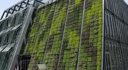 مستوحاة من جنائن بابل المعلقة.. ما هي الزراعة العمودية؟