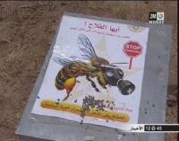 تأثير المبيدات على النحل
