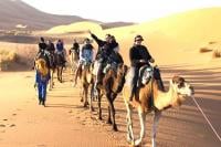 السياحة المغربية تنجح في تحدي الأزمة العالمية