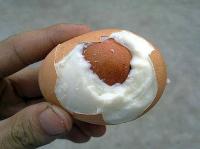 التقطت هذه الصورة سنة 2010 