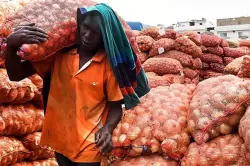 المغاربة يشتكون من غلاء البصل..من 4 دراهم عند الفلاح إلى 16 درهما في السوق