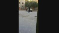 مشهد مؤلم : مواطن بتاوريرت يعذب حماره بوحشية