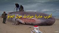 أغرب 10 حوادث حول العالم