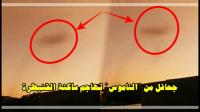 شوفو الناموس آش داير في القنيطرة... مشهد رهيب