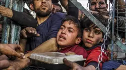 قصة صادمة عن جوع غزة.. حين يتحول الخبز إلى حلم والسكر إلى مجوهرات