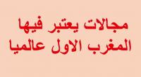 مجالات يحتل فيها المغرب الصدارة عالميا