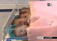 أربعة توائم جدد في ذكرى الإستقلال‏