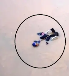 لحظة إنقاذ امرأة "مقعدة" جرفتها السيول في مدينة هاتاي التركية
